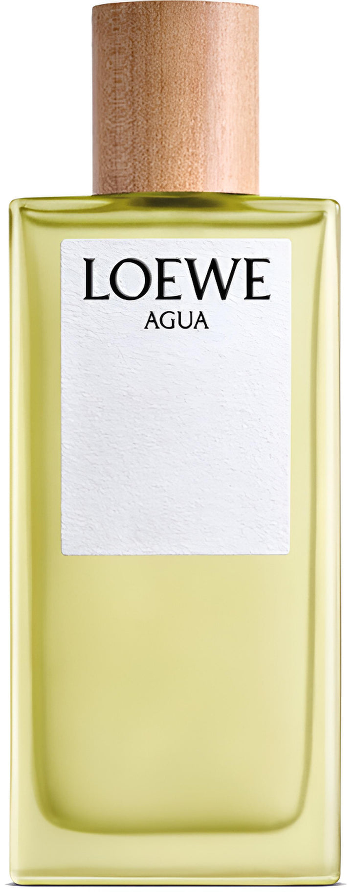 AGUA DE LOEWE
