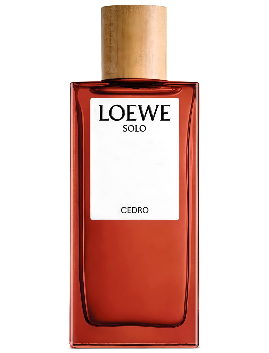SOLO LOEWE CEDRO