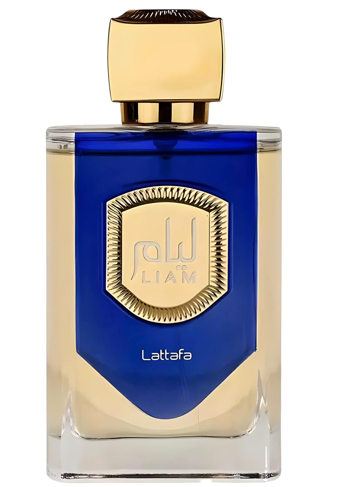 LIAM BLUE SHINE - ACQUA DI GIO PROFONDO