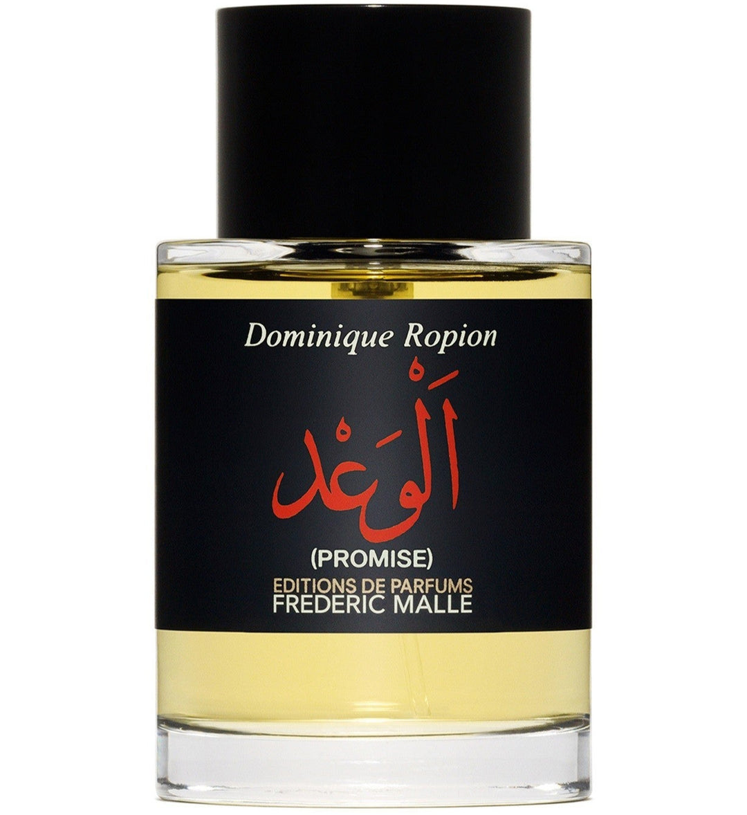PROMISE (الوعد)