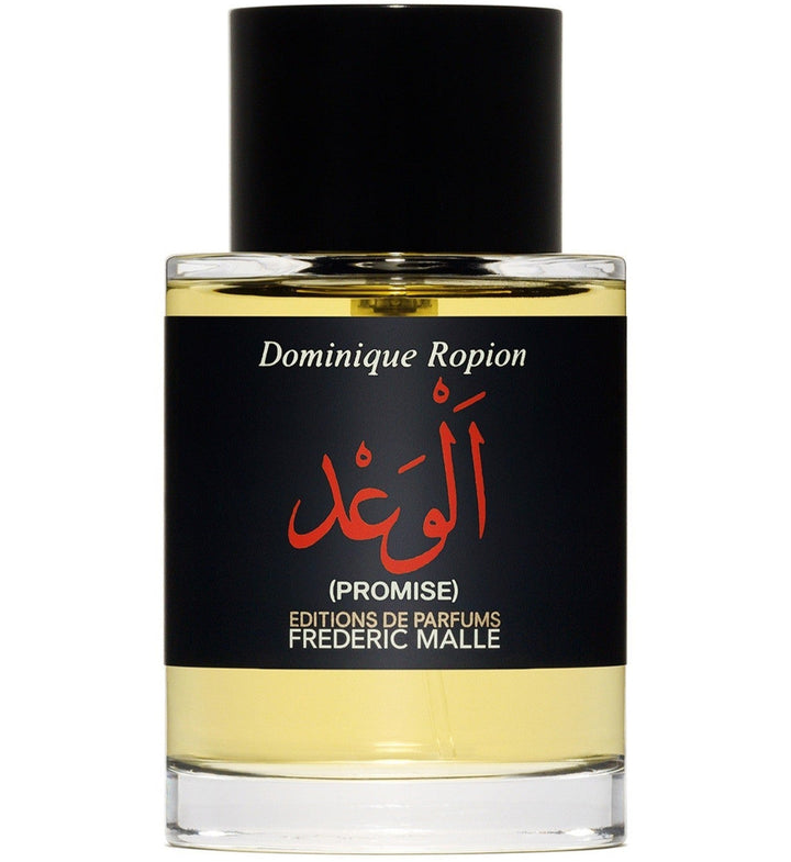 PROMISE (الوعد)