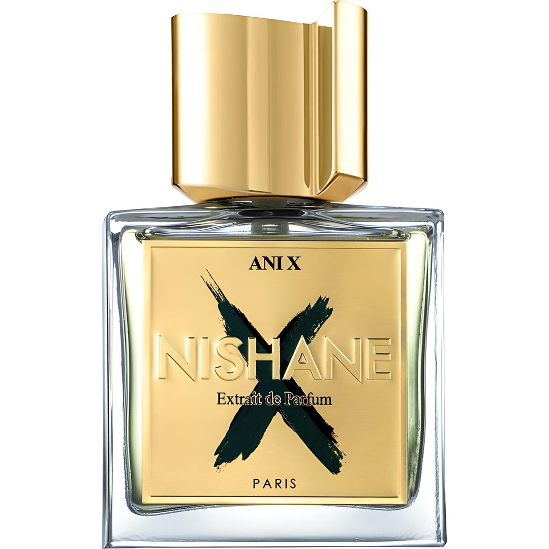 ANI X