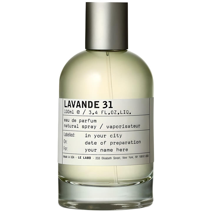LAVANDE 31