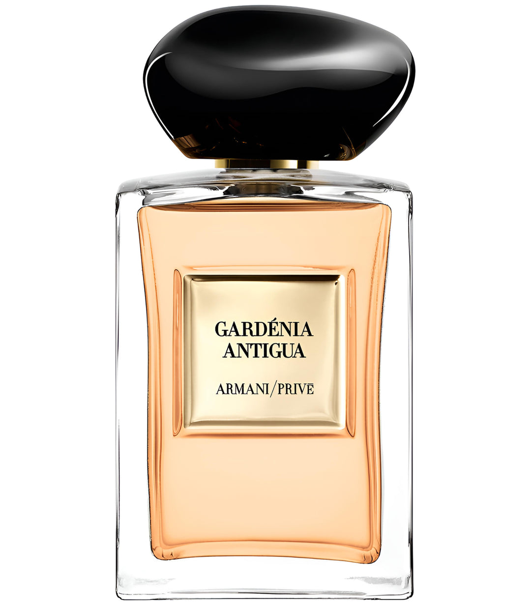 GARDÉNIA ANTIGUA
