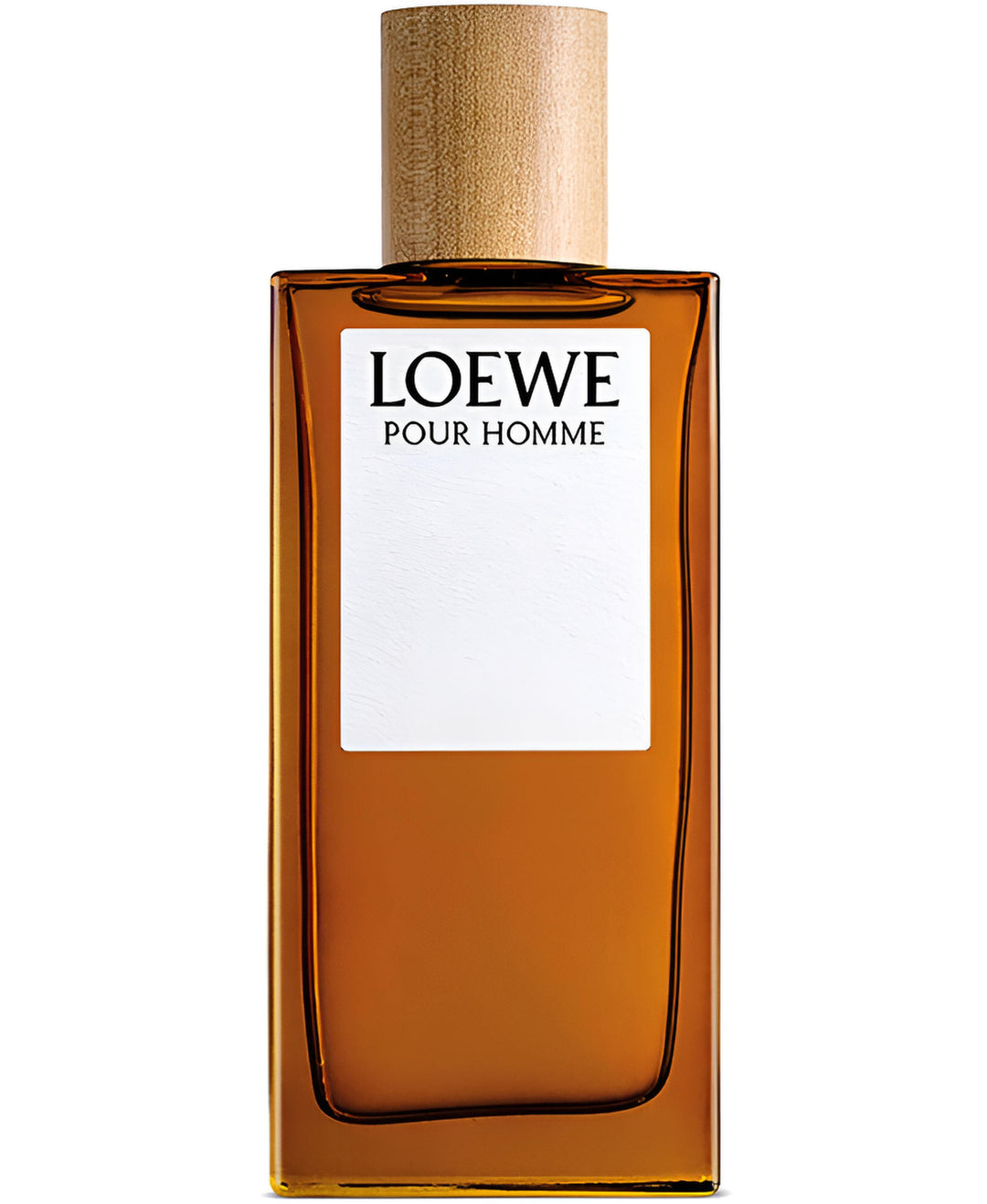 LOEWE POUR HOMME