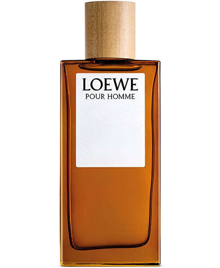 LOEWE POUR HOMME