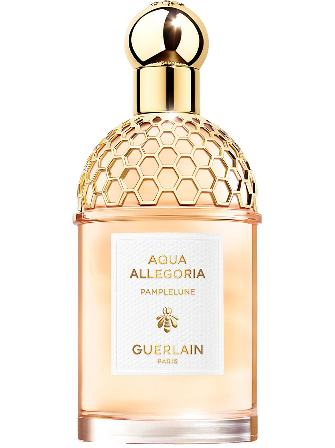 AQUA ALLEGORIA PAMPLELUNE