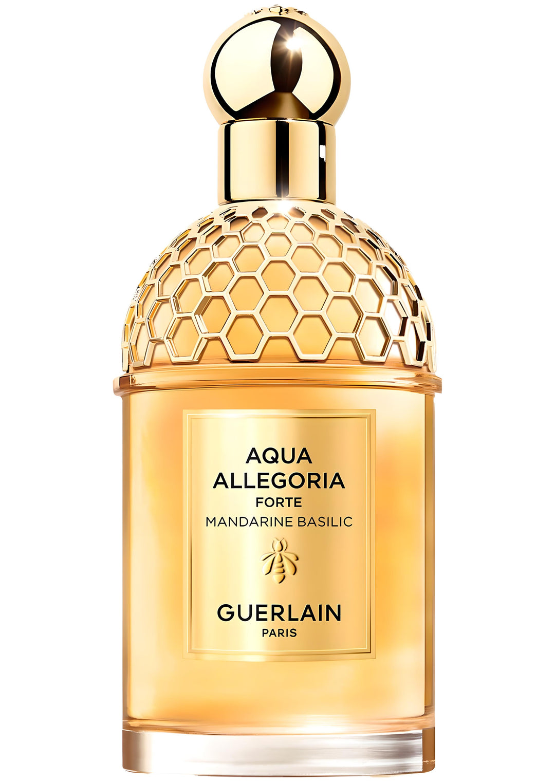 AQUA ALLEGORIA FORTE MANDARINE BASILIC