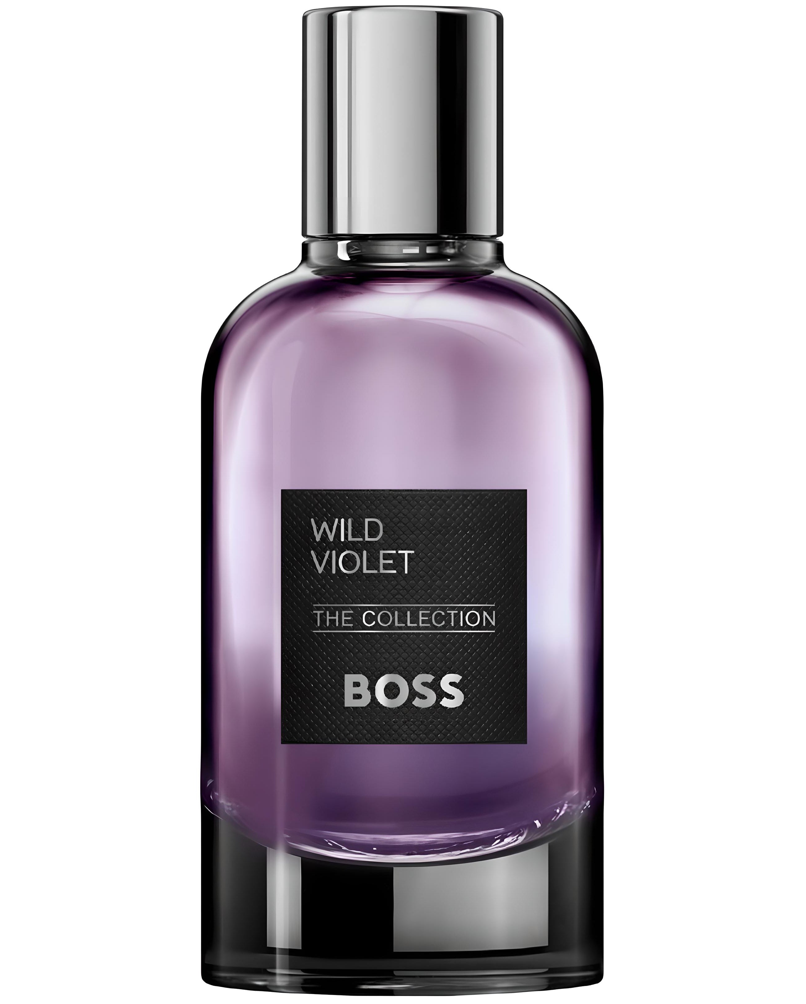 WILD VIOLET de HUGO BOSS — Decant | ABSCENTS México