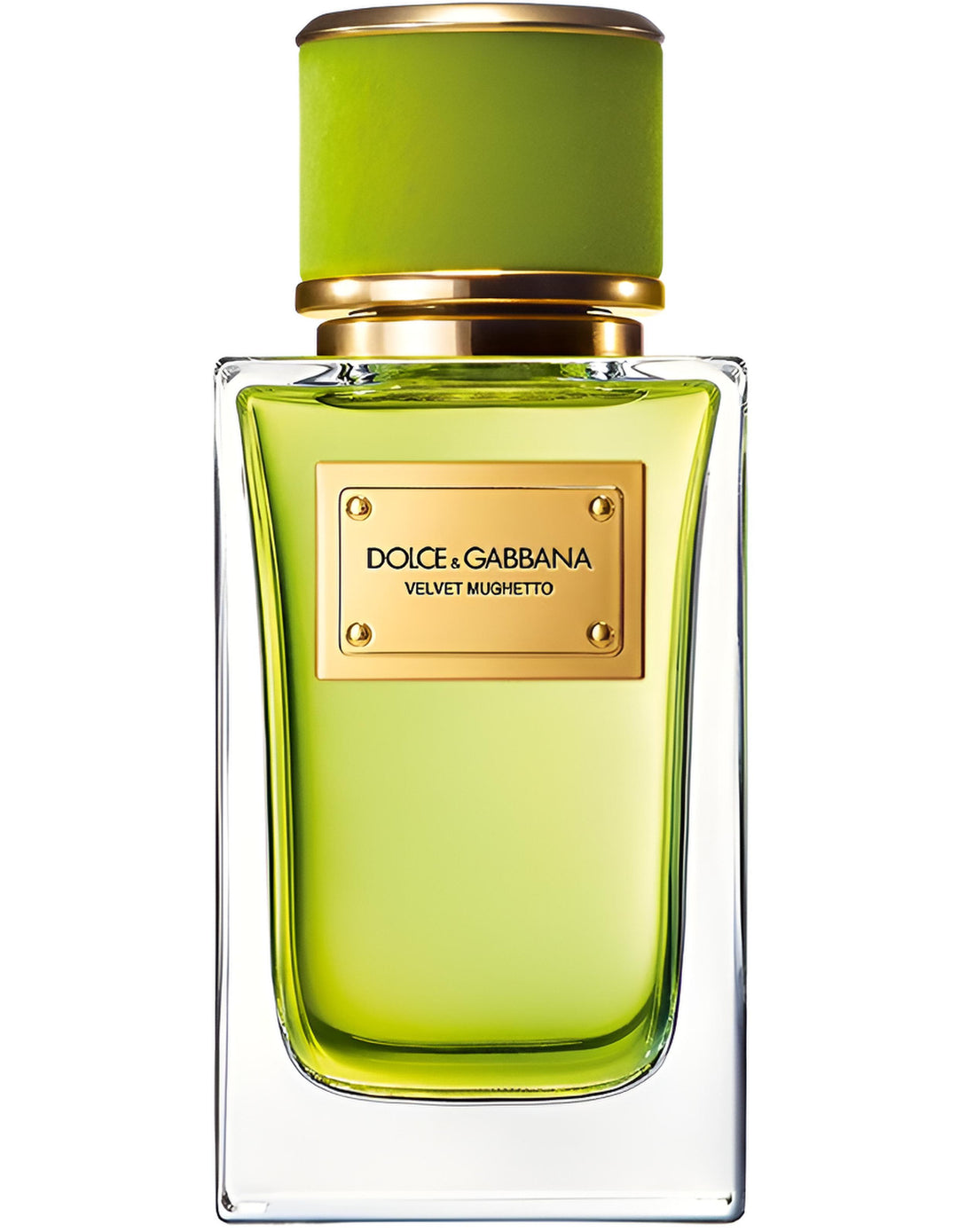 VELVET MUGHETTO