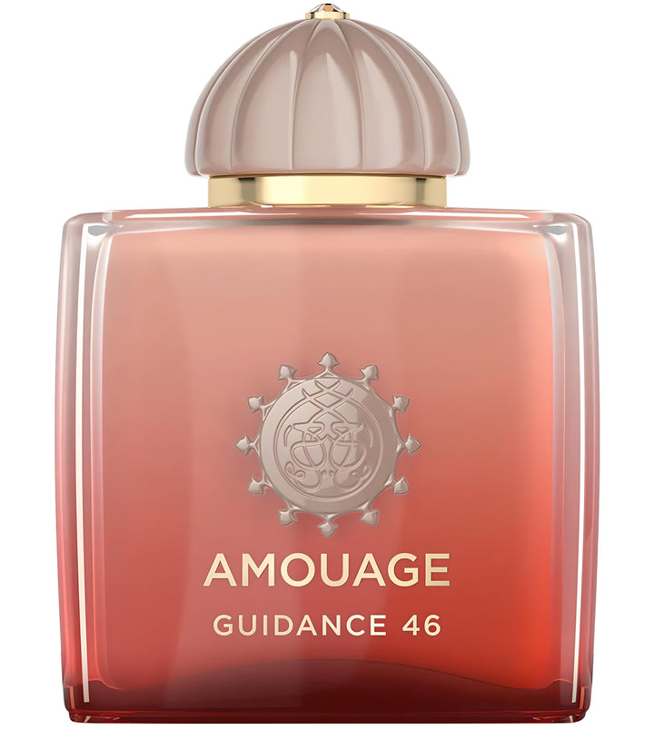 GUIDANCE 46