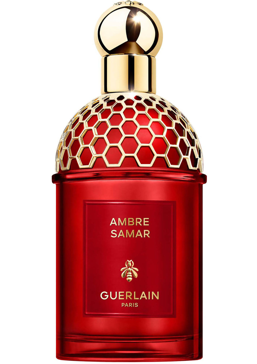 AMBRE SAMAR