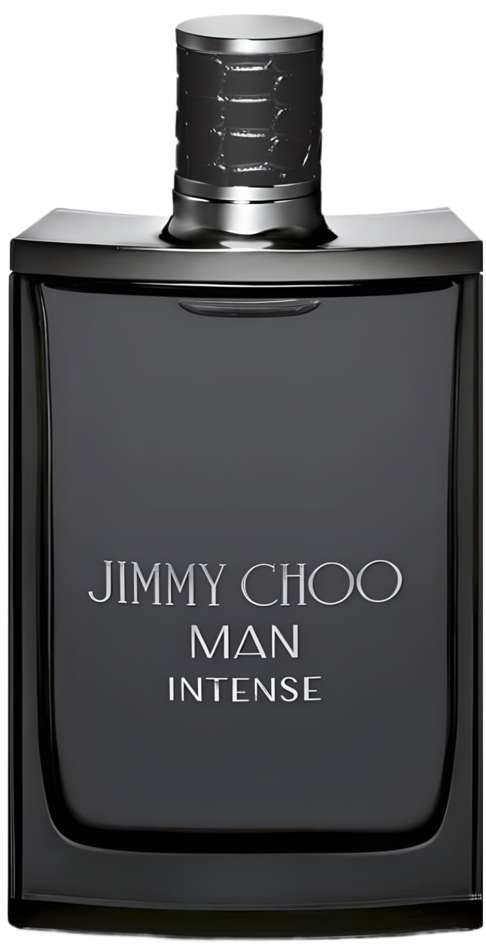 JIMMY CHOO MAN INTENSE