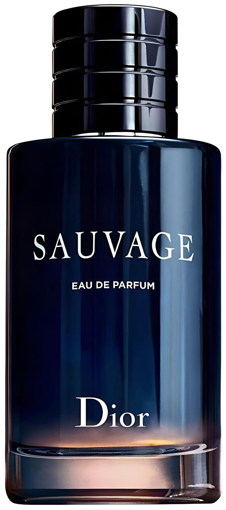 SAUVAGE EDP