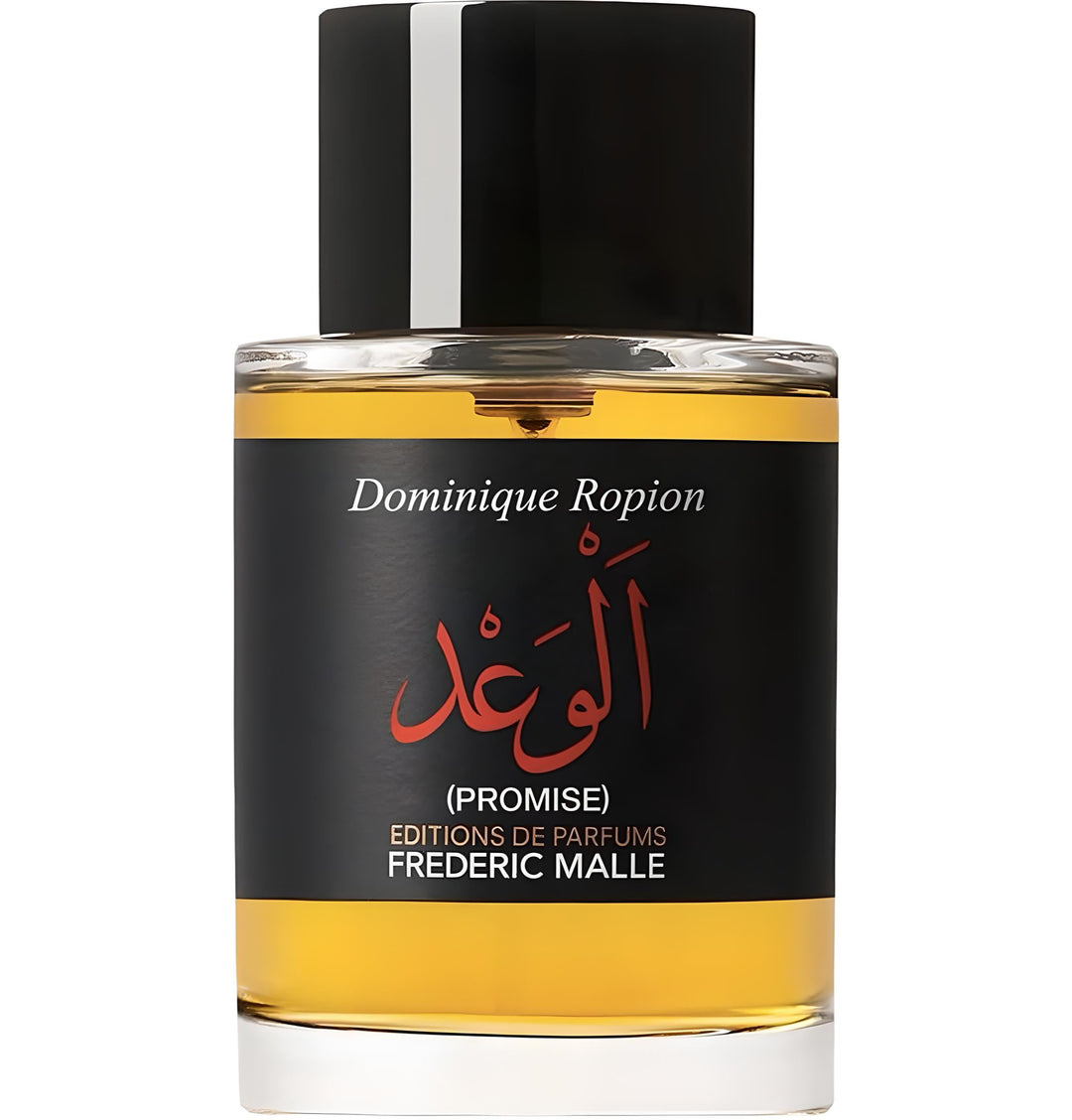 PROMISE (الوعد)