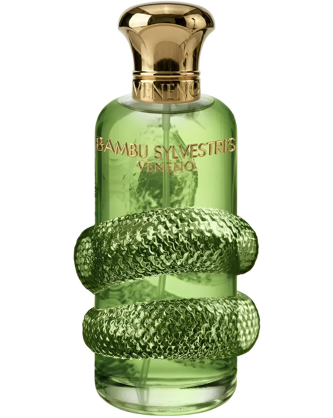 BAMBU SYLVESTRIS