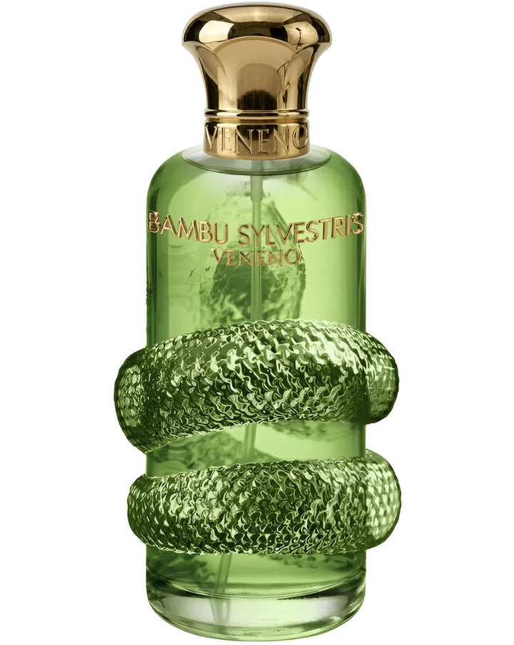 BAMBU SYLVESTRIS