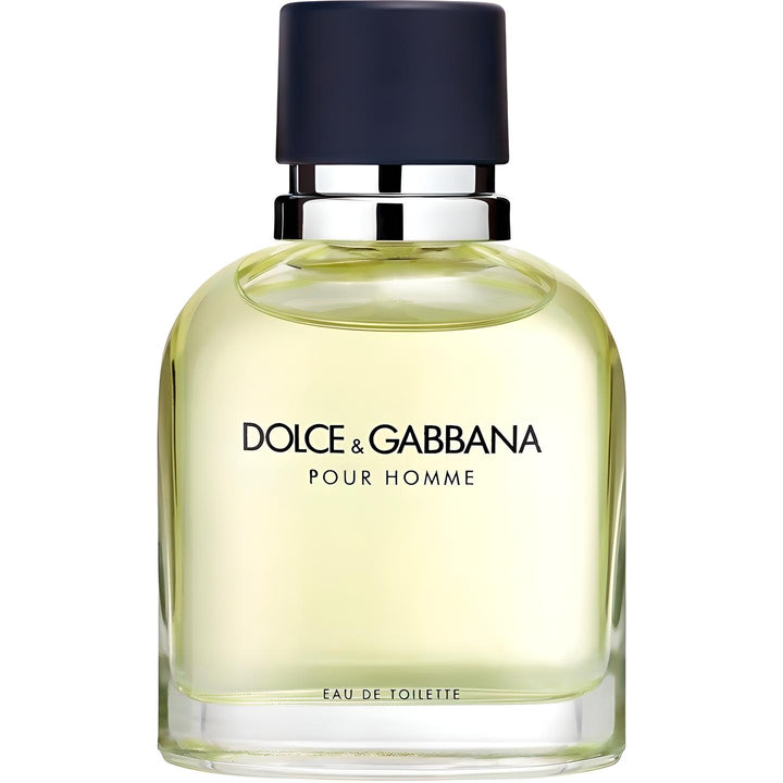 D&G POUR HOMME