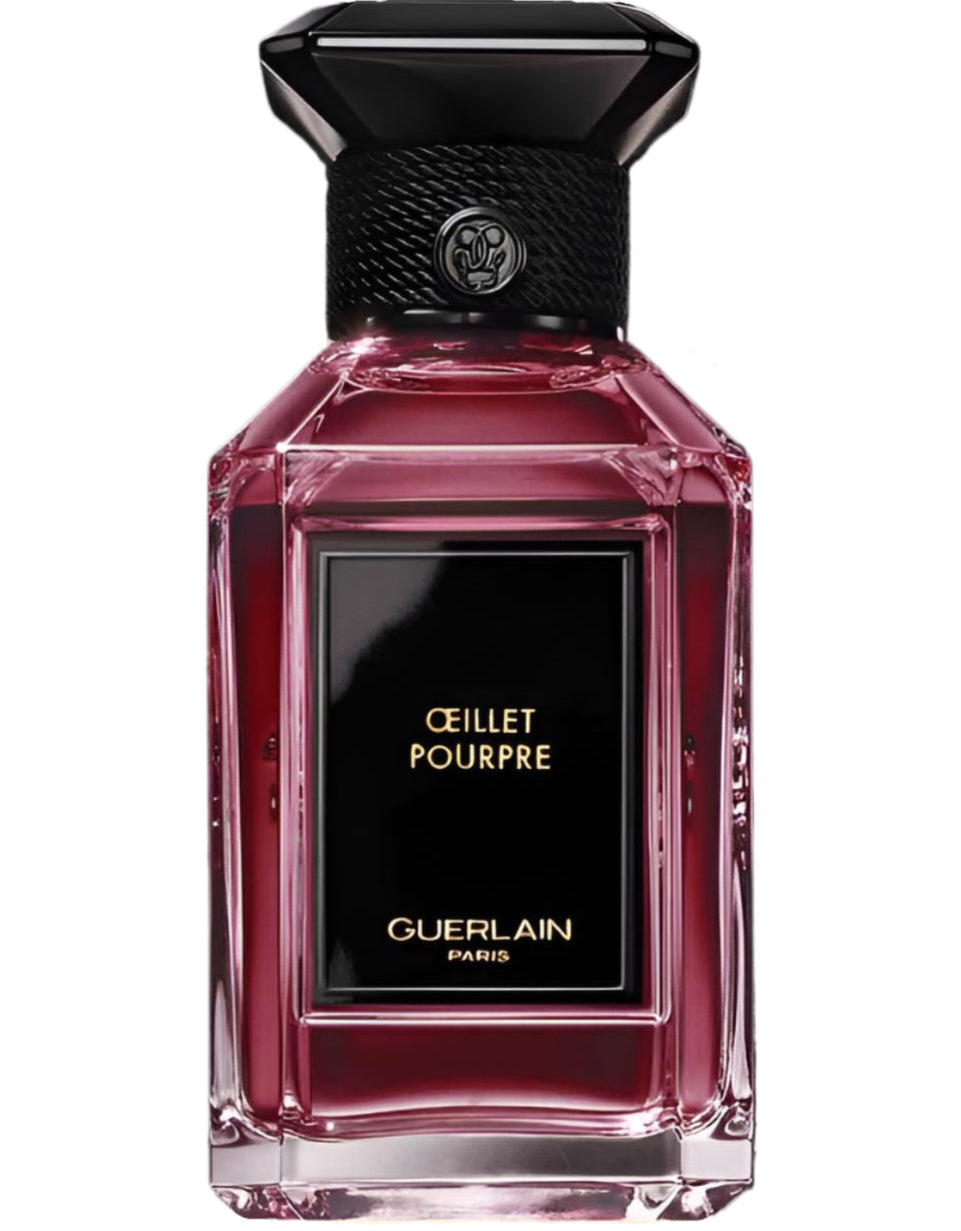 ŒILLET POURPRE